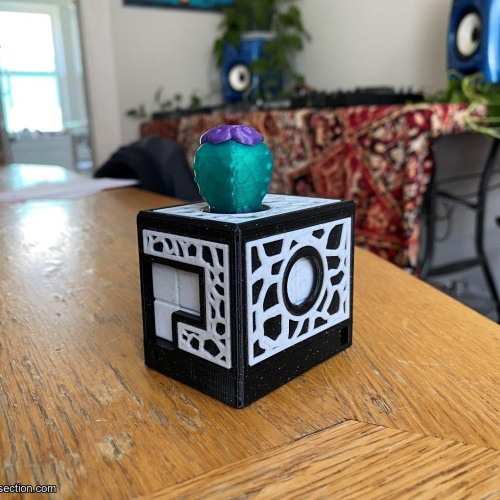 Prickly Pack - A Sequential Discovery Packing Puzzle