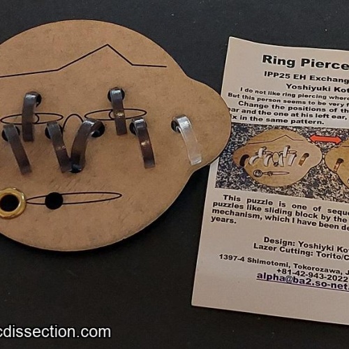 ring pierce face - Yoshiyuki Kotani