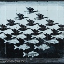 Maurits Cornelis Escher's "Sky and Water I"