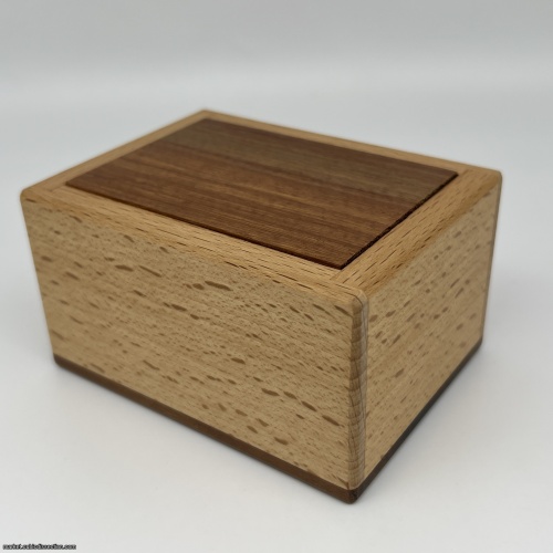 Spirit Box by Dee Dixon