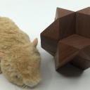 Star of David (STC-37)